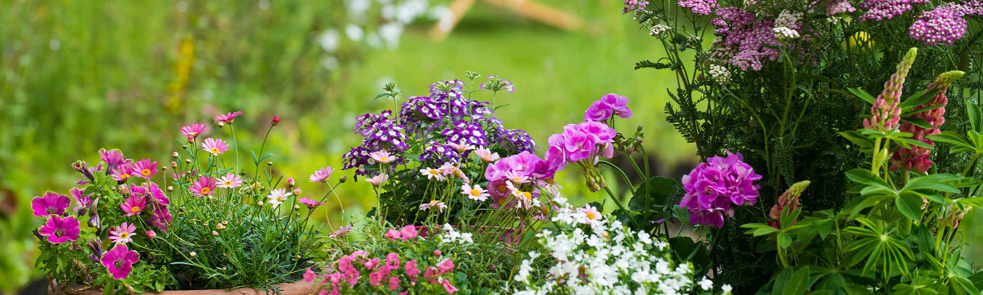 Un jardin sans entretien