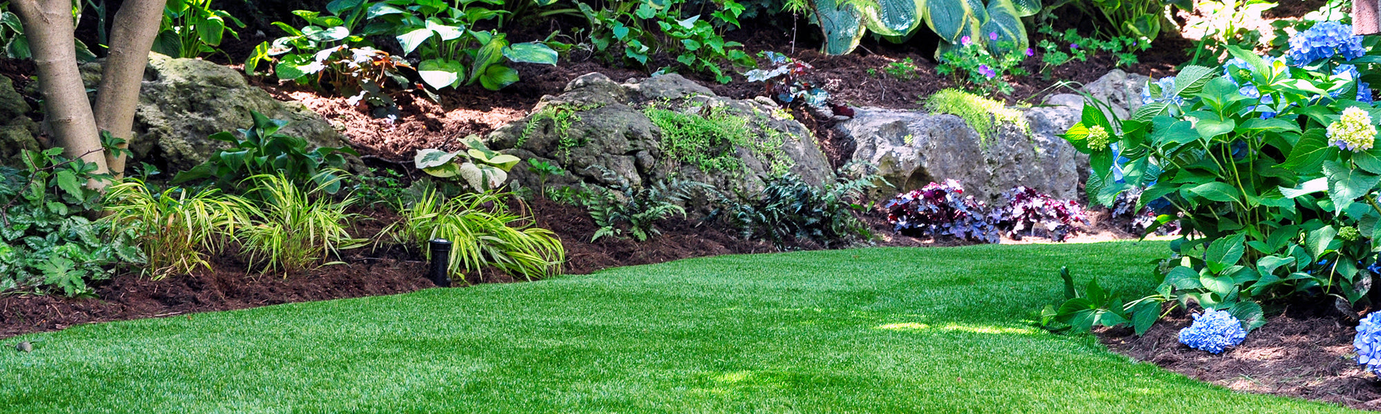 Un jardin à l'ombre