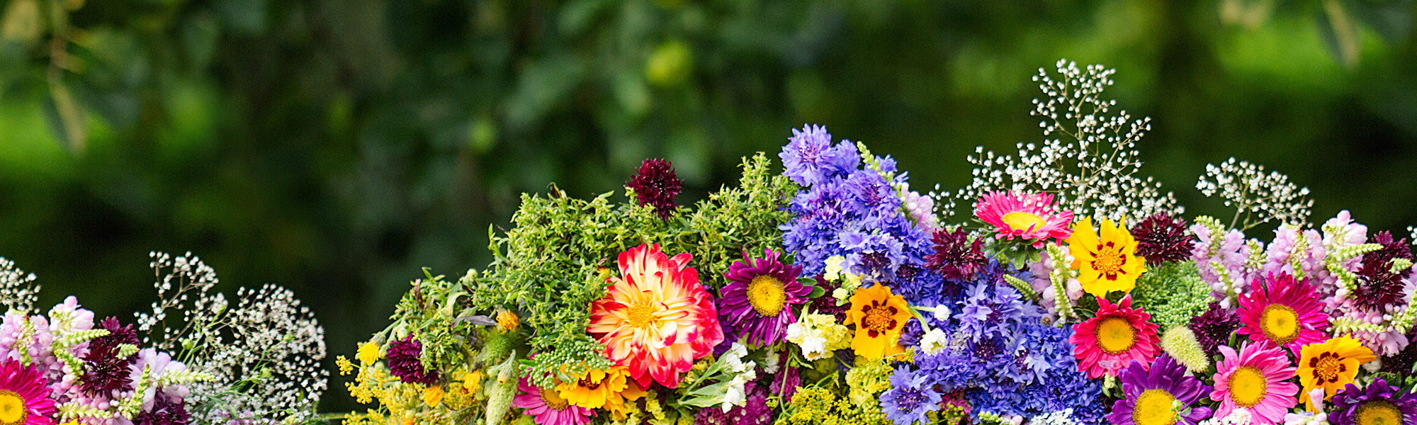 Tapis de fleurs