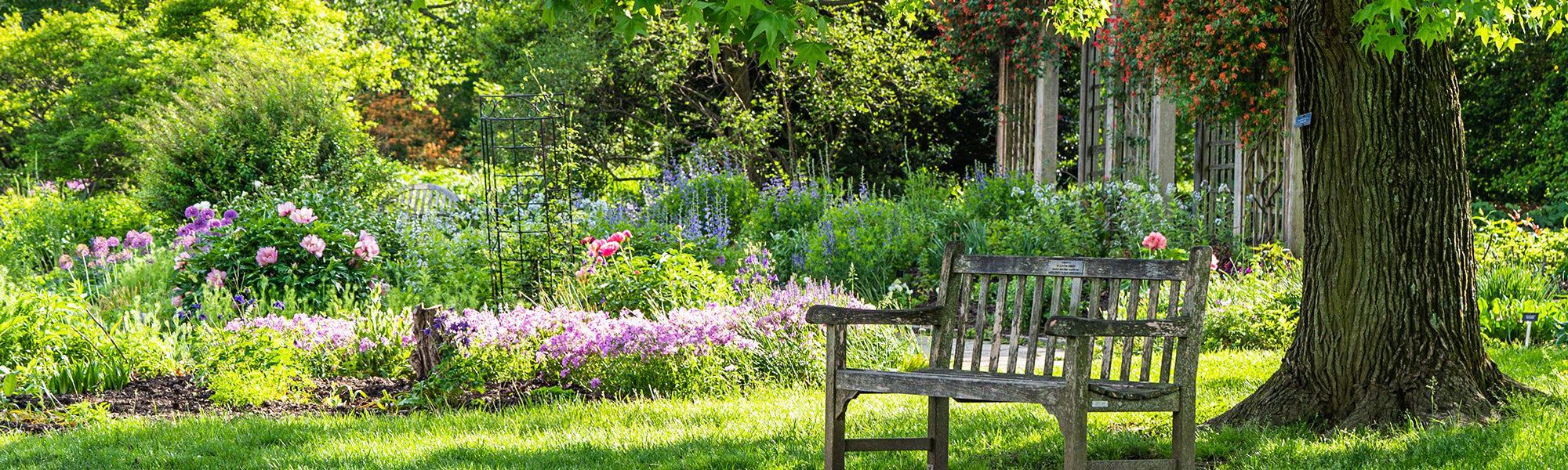 Jardin romantique