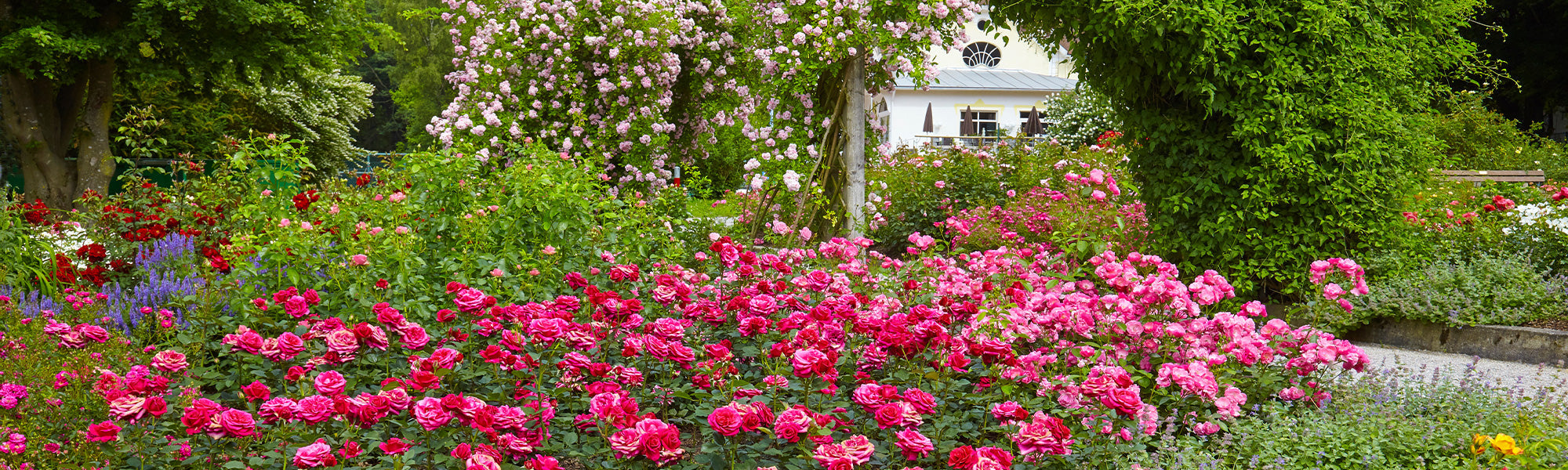 Jardin bucolique