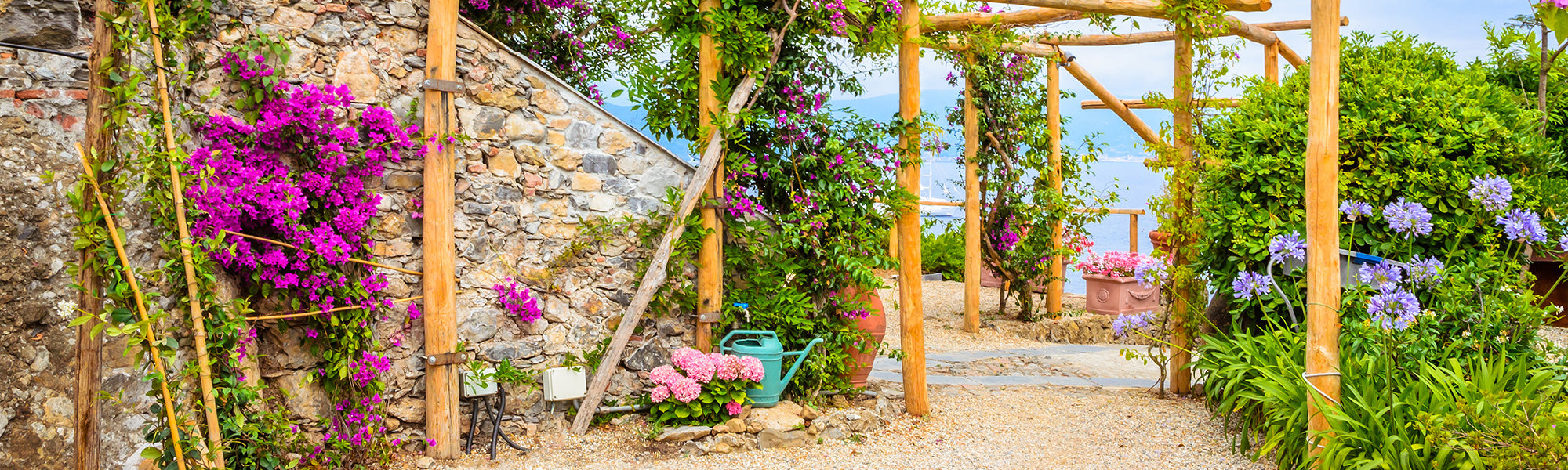 Jardin méditerranéen coloré