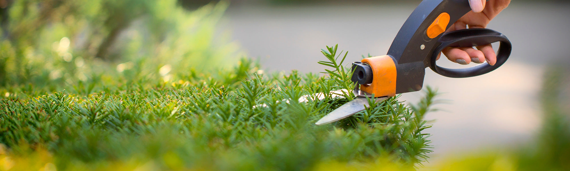 Entretien du jardin