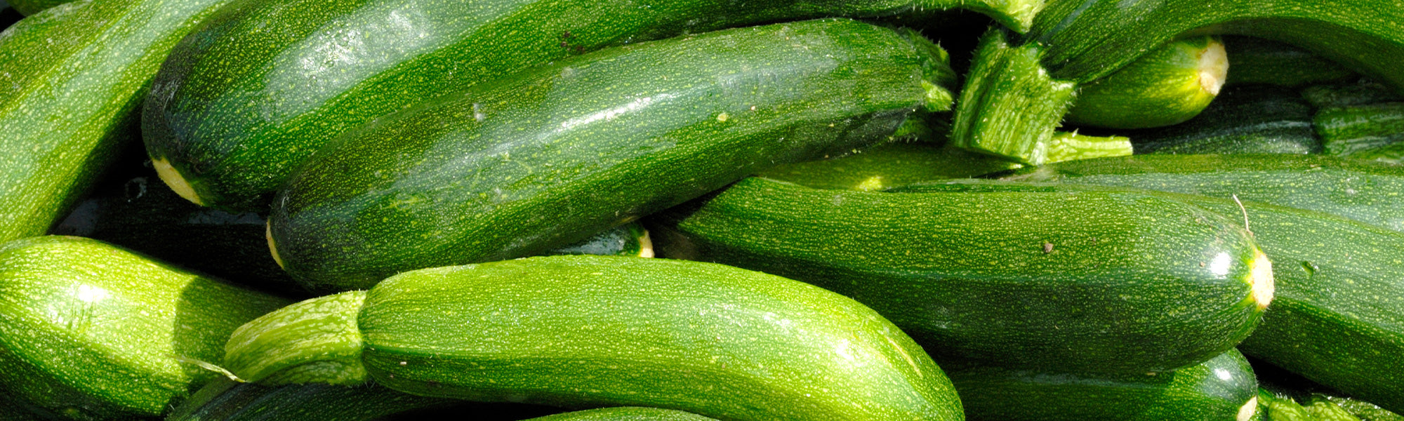 Courgettes