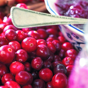 Canneberge - Cranberry - Willemse