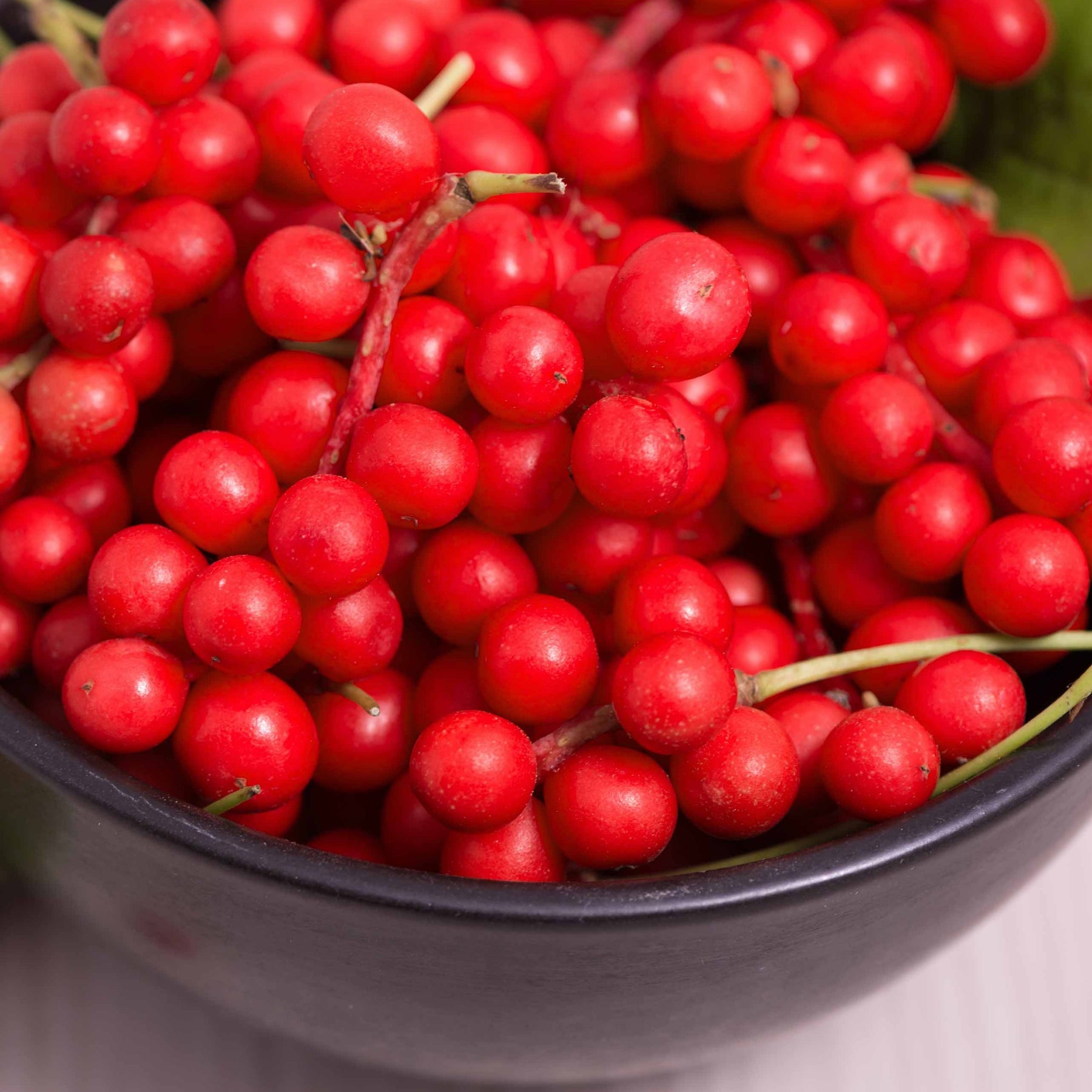 Fruit de la vitalité - Schisandra chinensis - Fruitiers Arbres et arbustes