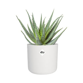 Elho Cache-pot B for soft rond blanc