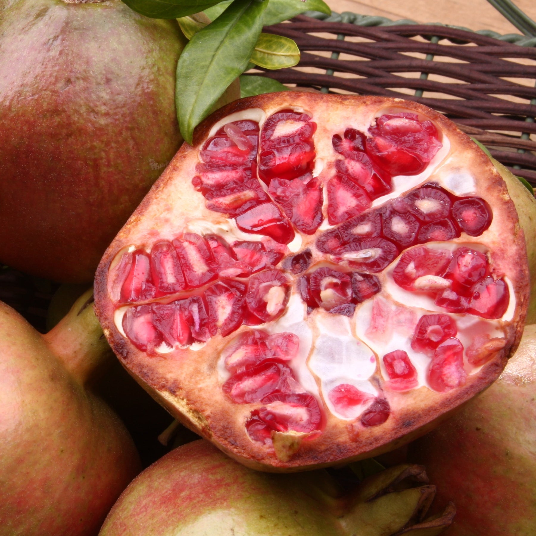 Grenadier à fruits Fina Tendral - Punica granatum fina tendral - Willemse