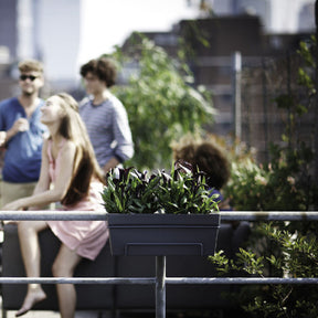 Elho Balconnière Loft urban anthracite