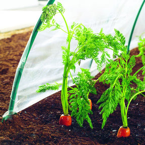 Film de forçage LDPE - Potagers serres et accessoires du jardin