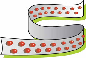 Radis rond National 3 (ruban) - Raphanus sativus national 3 - Graines de fruits et légumes